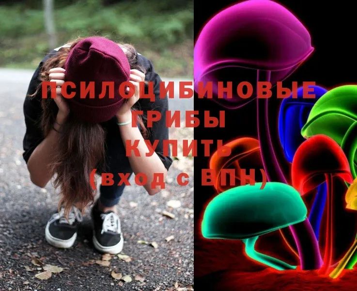 Галлюциногенные грибы Magic Shrooms  купить  цена  hydra зеркало  Кинель 